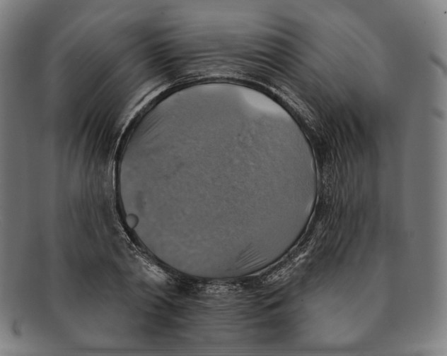 X0000091290790200708311316