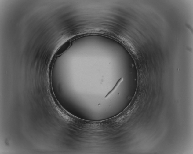 X0000091290792200708311316