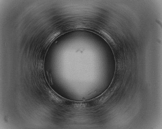 X0000091290793200708311316