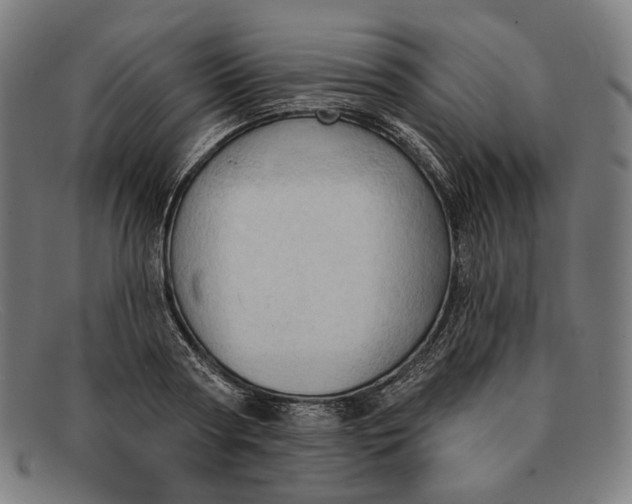 X0000091290794200708311316