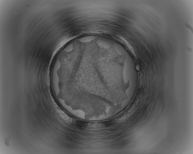 X0000091290795200708311316