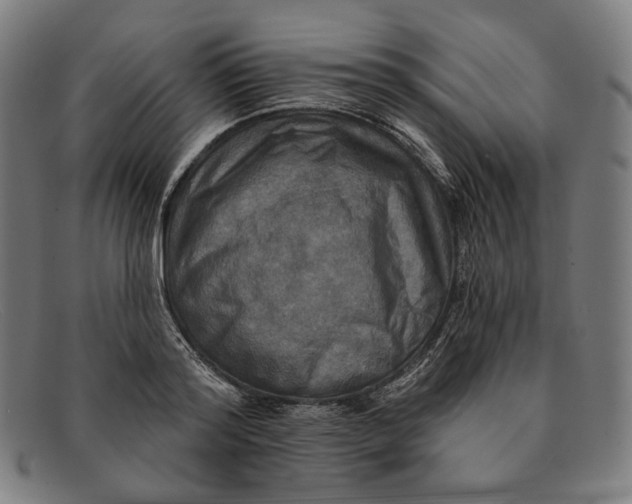 X0000091290796200708311316