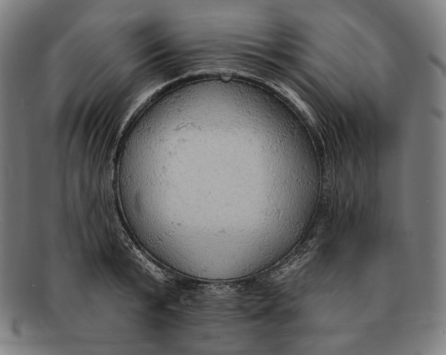 X0000091290799200708311316