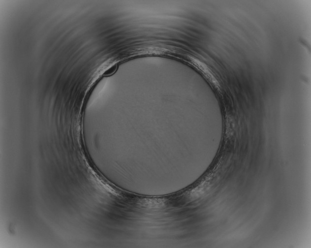 X0000091290802200708311316