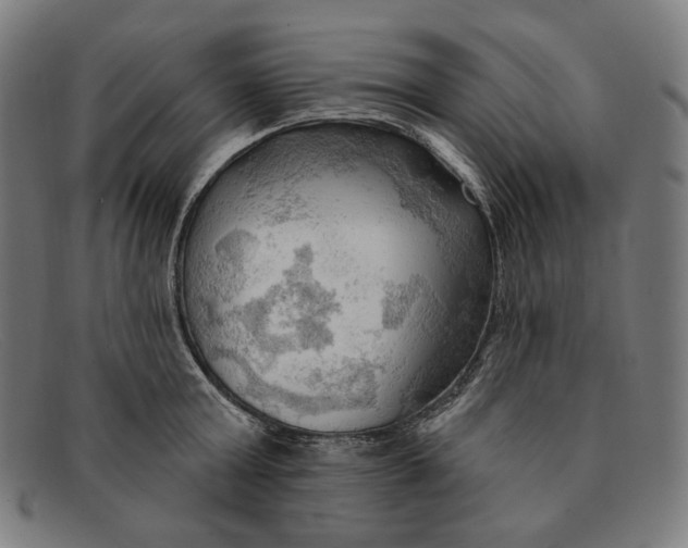 X0000091290803200708311316