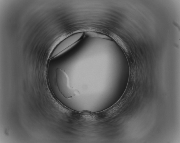 X0000091290805200708311316