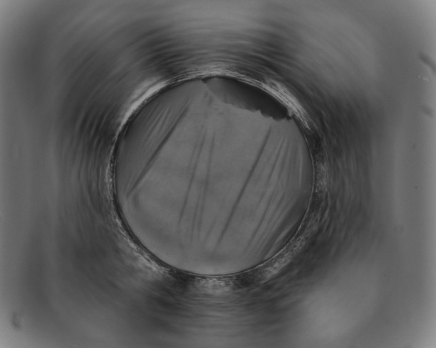 X0000091290806200708311316