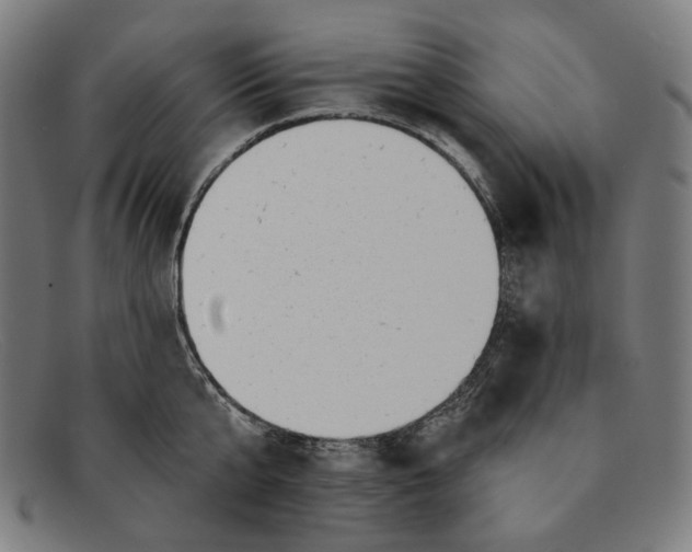 X0000091290807200708311316