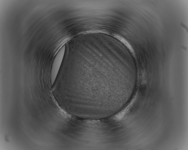 X0000091290809200708311316