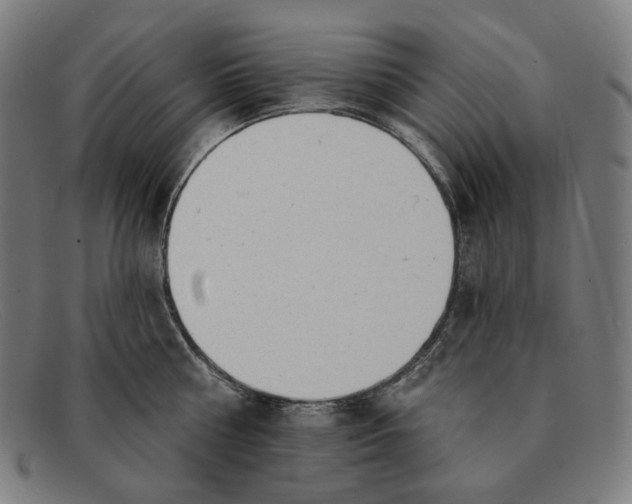 X0000091290810200708311316