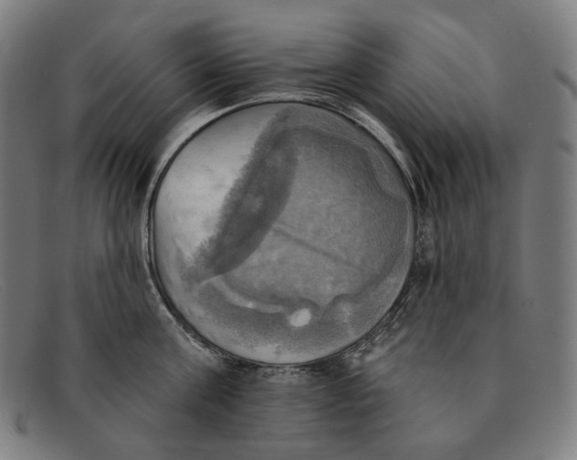 X0000091290811200708311316