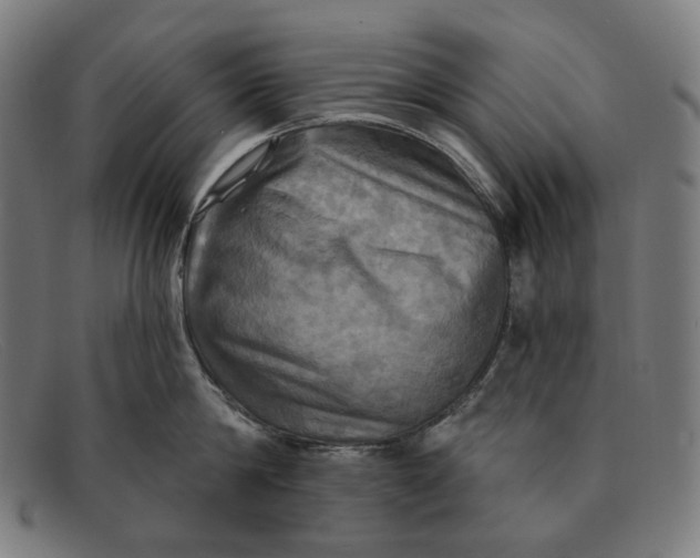 X0000091290814200708311316