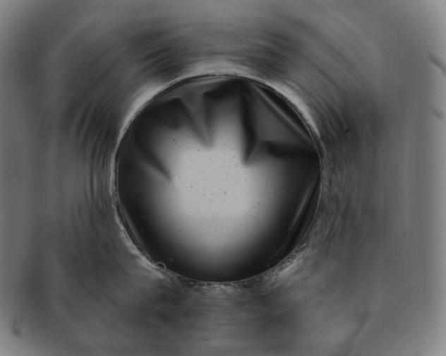 X0000091290815200708311316