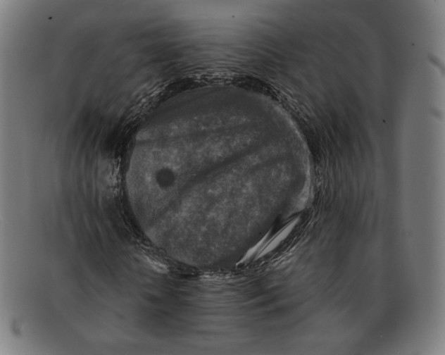 X0000091290818200708311315