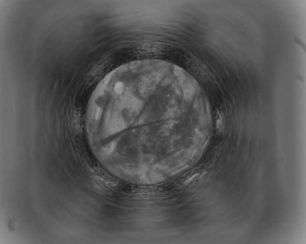 X0000091290819200708311315