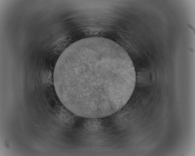 X0000091290820200708311315