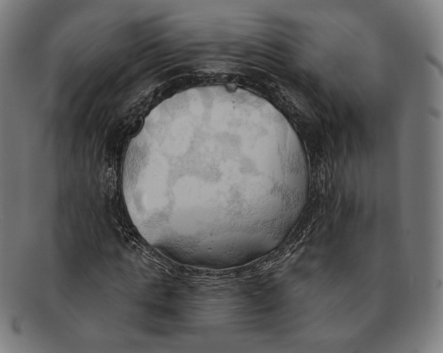 X0000091290821200708311315