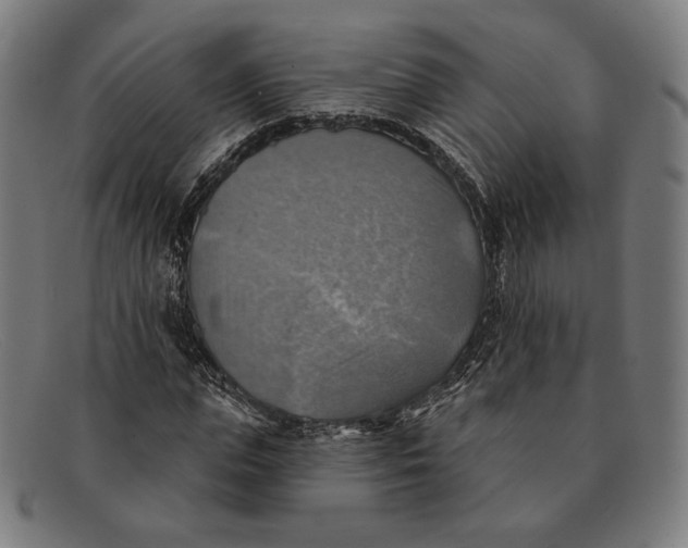 X0000091290823200708311315