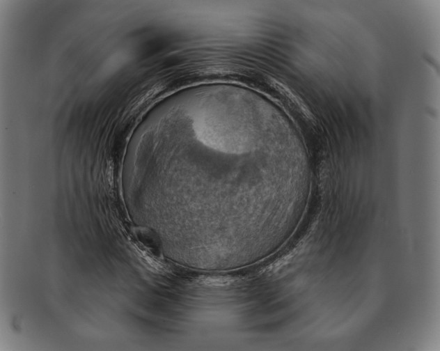 X0000091290825200708311315