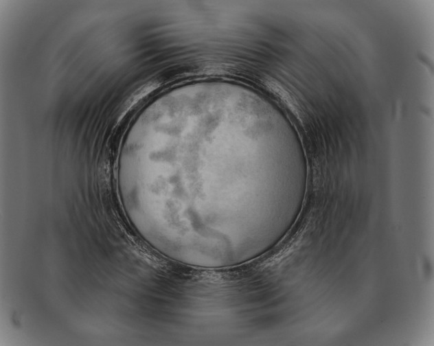 X0000091290827200708311315