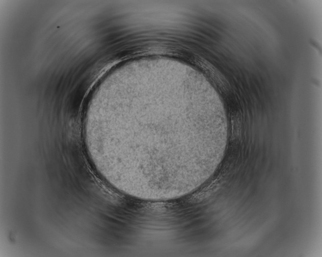 X0000091290828200708311315