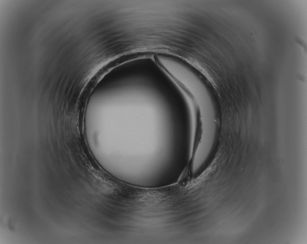 X0000091290830200708311315