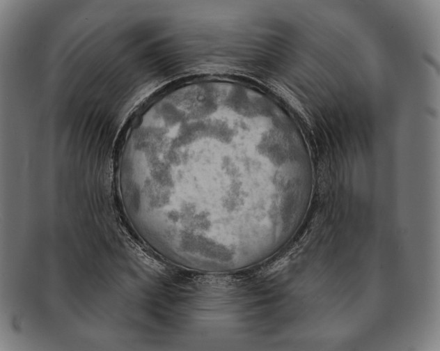 X0000091290831200708311315