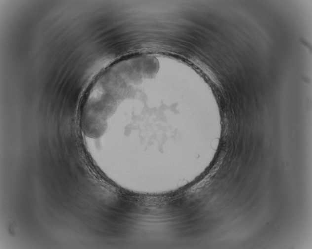 X0000091290832200708311315