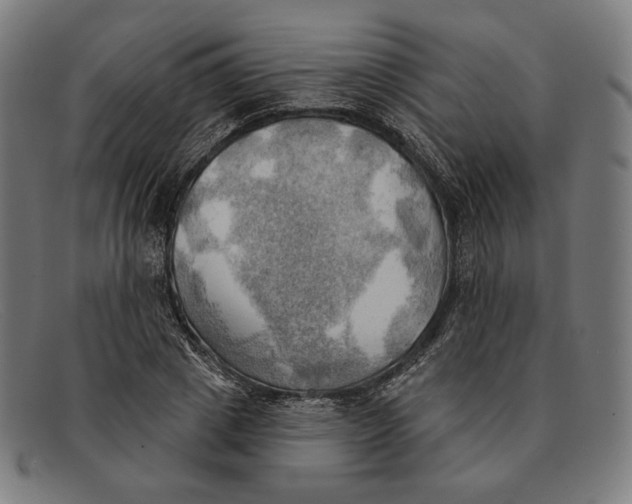 X0000091290833200708311315