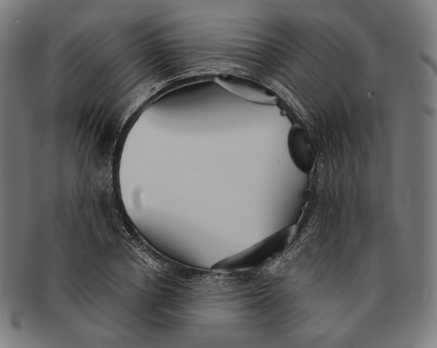 X0000091290834200708311315