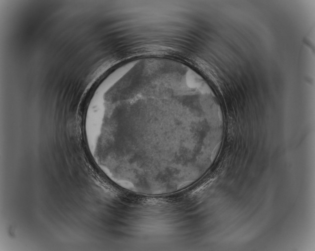 X0000091290835200708311315