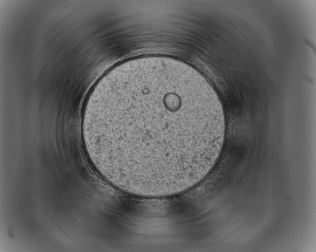 X0000091290836200708311315