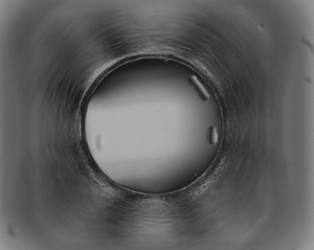 X0000091290838200708311315