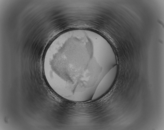 X0000091290840200708311315