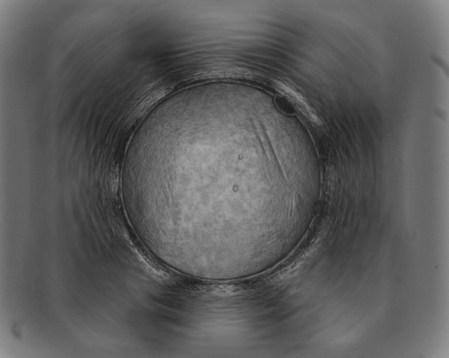 X0000091290841200708311315