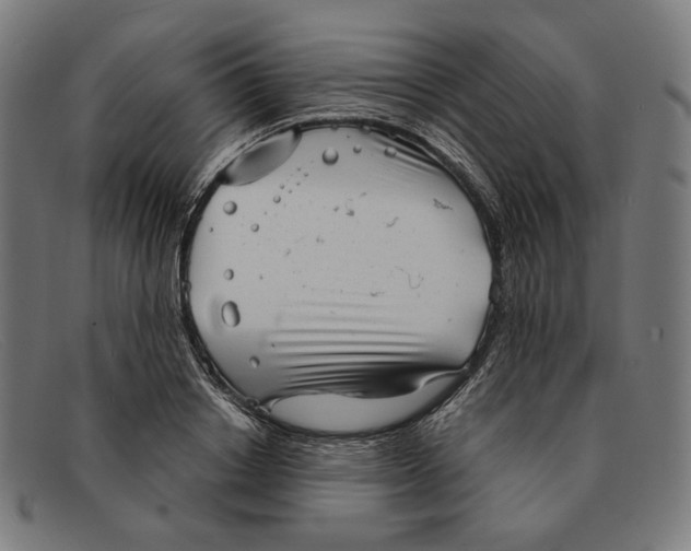 X0000091290842200708311315