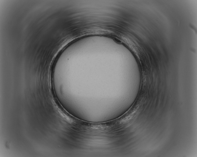 X0000091290843200708311315