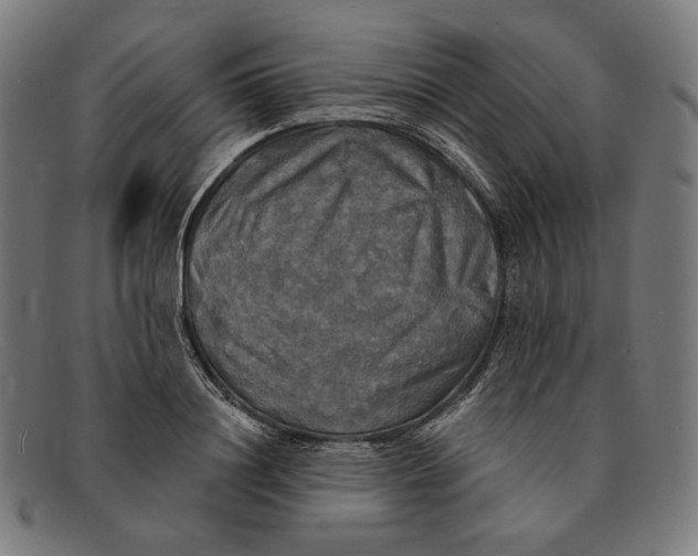 X0000091290844200708311315