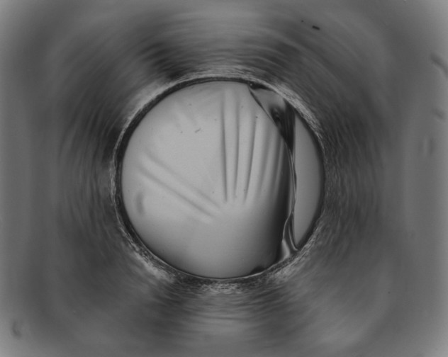 X0000091290846200708311315