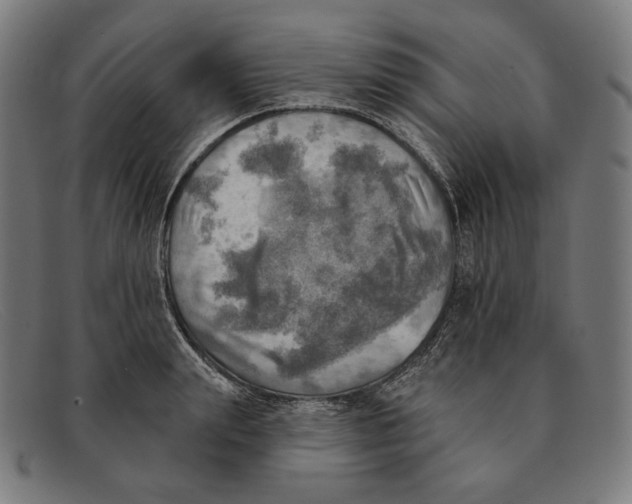 X0000091290847200708311315