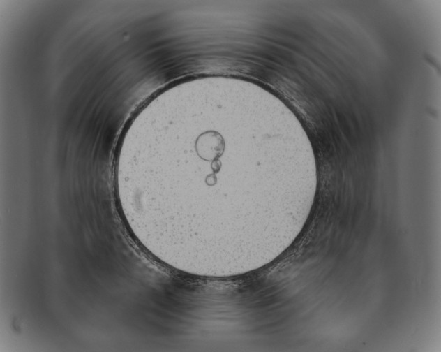 X0000091290848200708311315