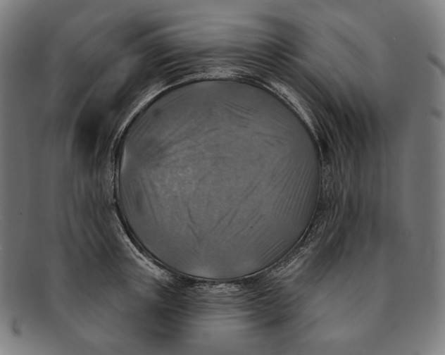 X0000091290851200708311316