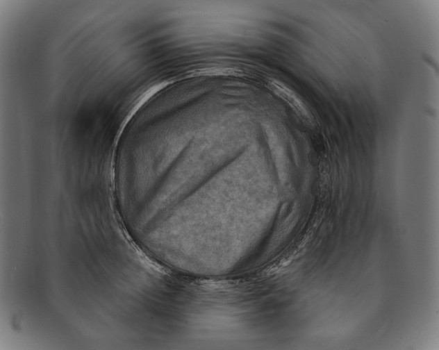 X0000091290852200708311316