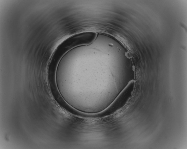 X0000091290854200708311316