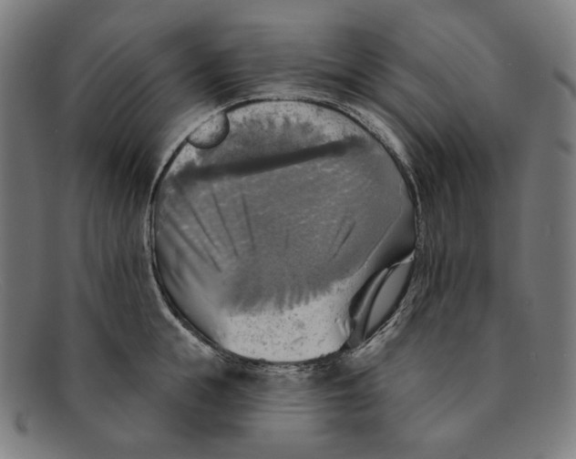 X0000091290855200708311316