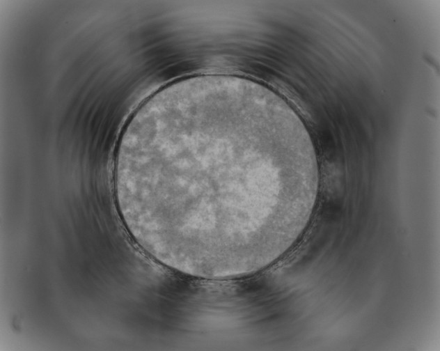 X0000091290856200708311316