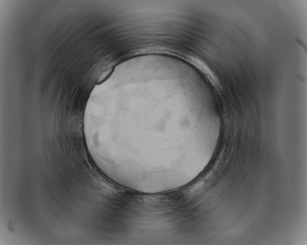 X0000091290857200708311316