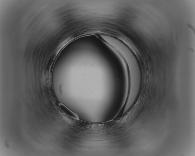 X0000091290858200708311316