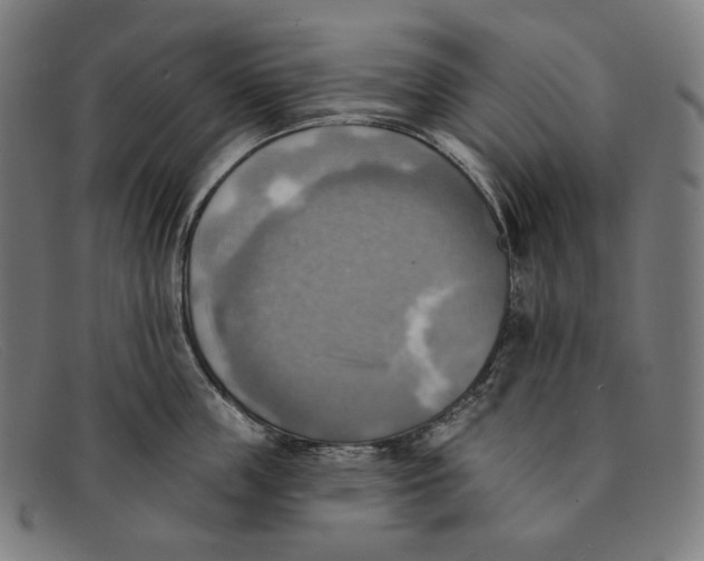 X0000091290859200708311316