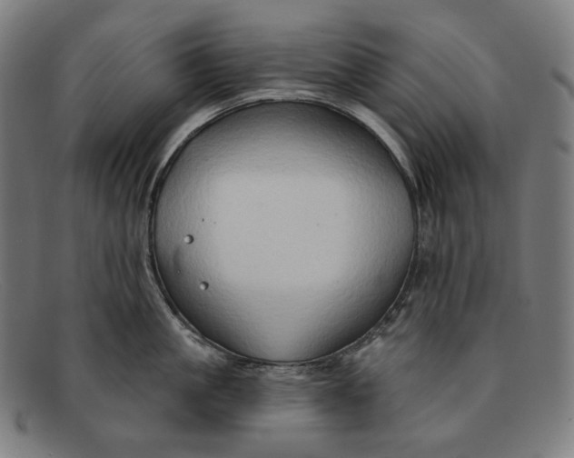 X0000091290861200708311316